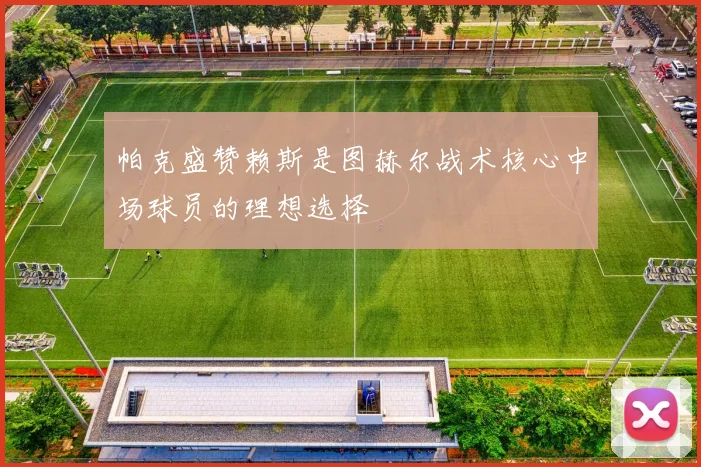 帕克盛赞赖斯是图赫尔战术核心中场球员的理想选择