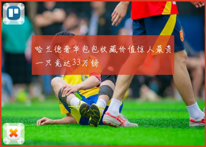 哈兰德奢华包包收藏价值惊人最贵一只竟达33万镑